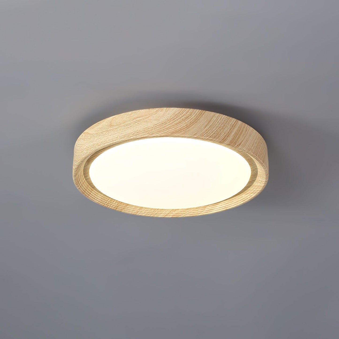 Elara Haus Flush Mount Ceiling Light - Metal Acrylic Dimmable LED Ceiling Light Fixture 10