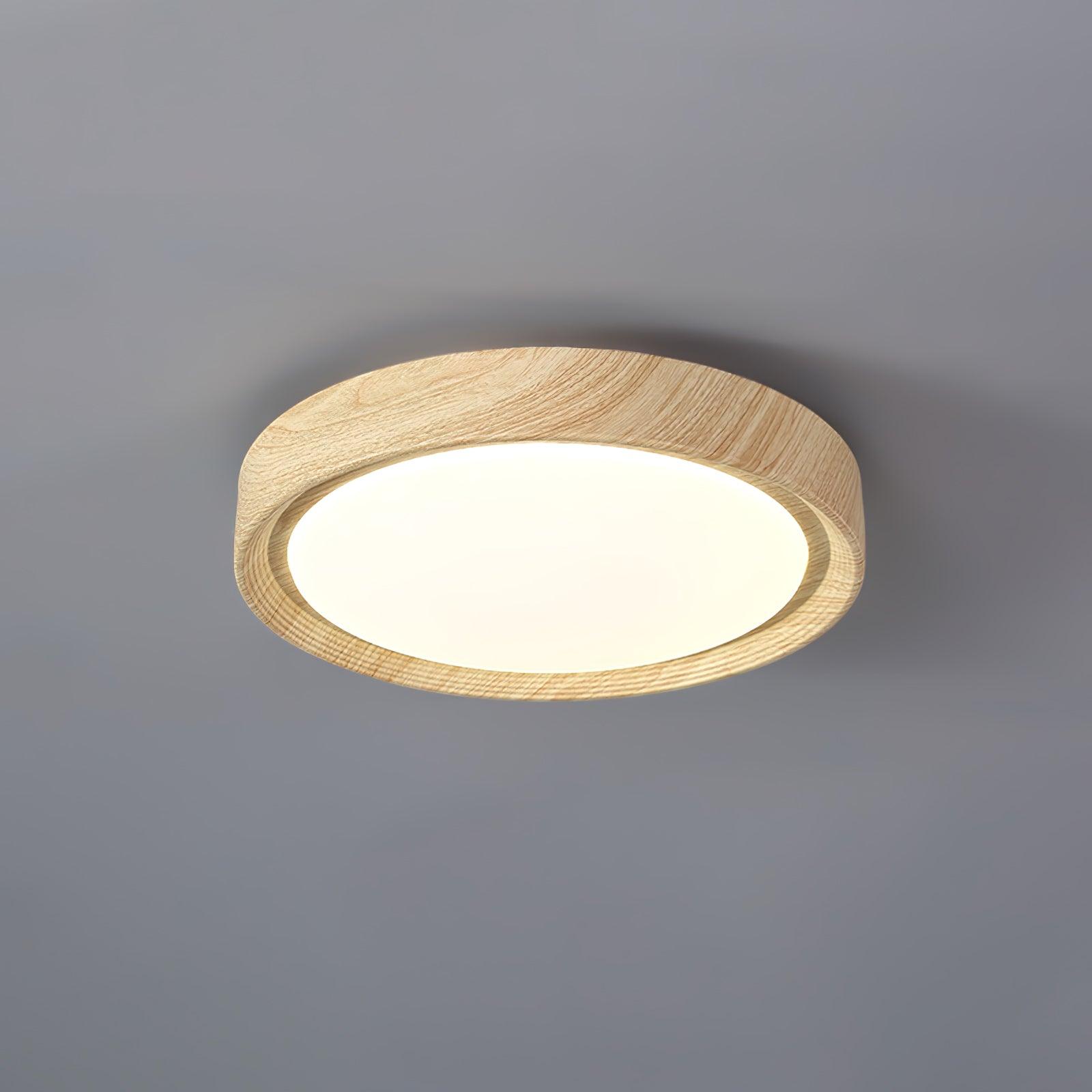 Elara Haus Flush Mount Ceiling Light - Metal Acrylic Dimmable LED Ceiling Light Fixture 10