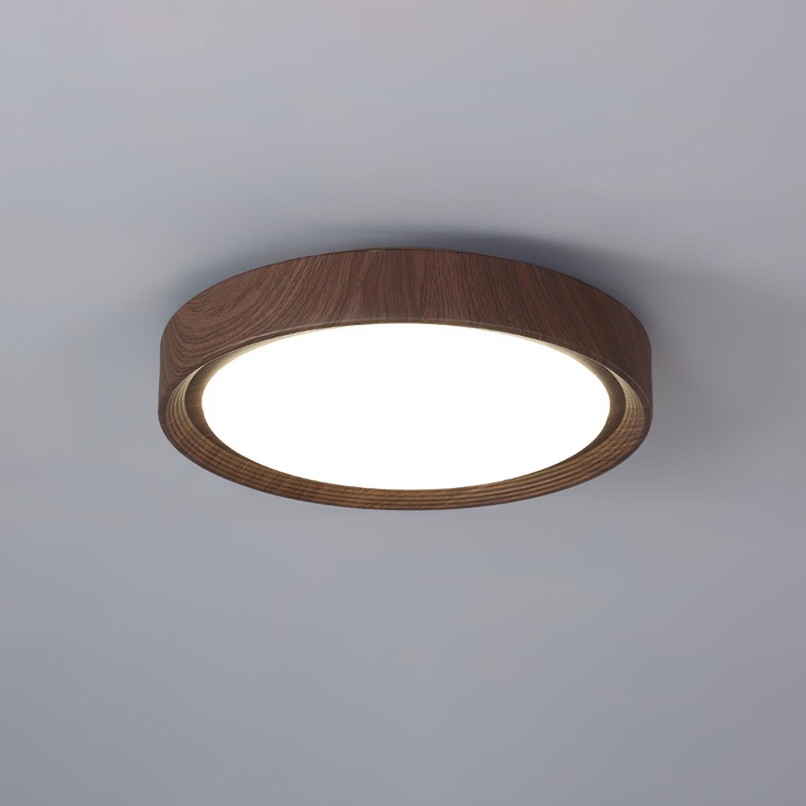 Elara Haus Flush Mount Ceiling Light - Metal Acrylic Dimmable LED Ceiling Light Fixture 15