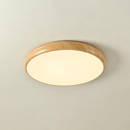 Elara Haus Flush Mount Ceiling Light - Metal Acrylic Dimmable LED Ceiling Light Fixture 17