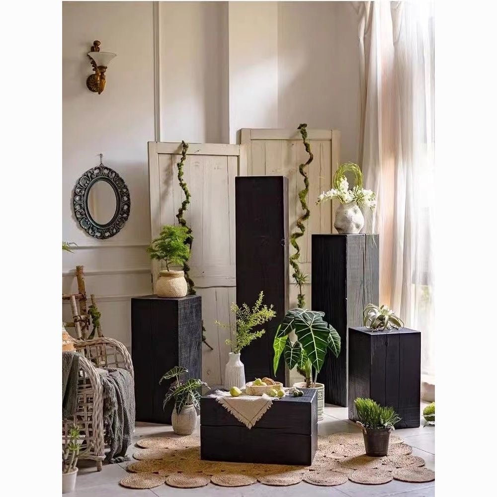 Charcoaled Pedestal Stand - Solid Wood - Display Base for Home Decor, Sculptures, or Plants 4