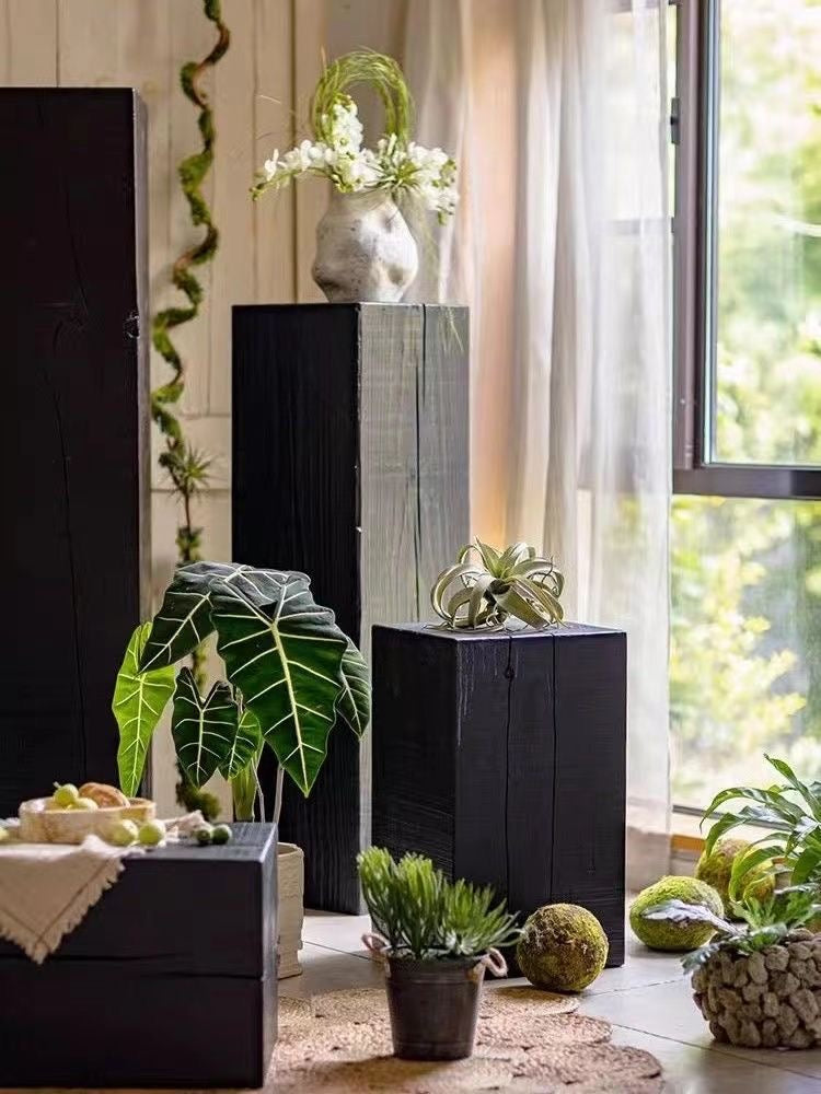 Charcoaled wood display pedestal for home decor, sculptures or plant displays