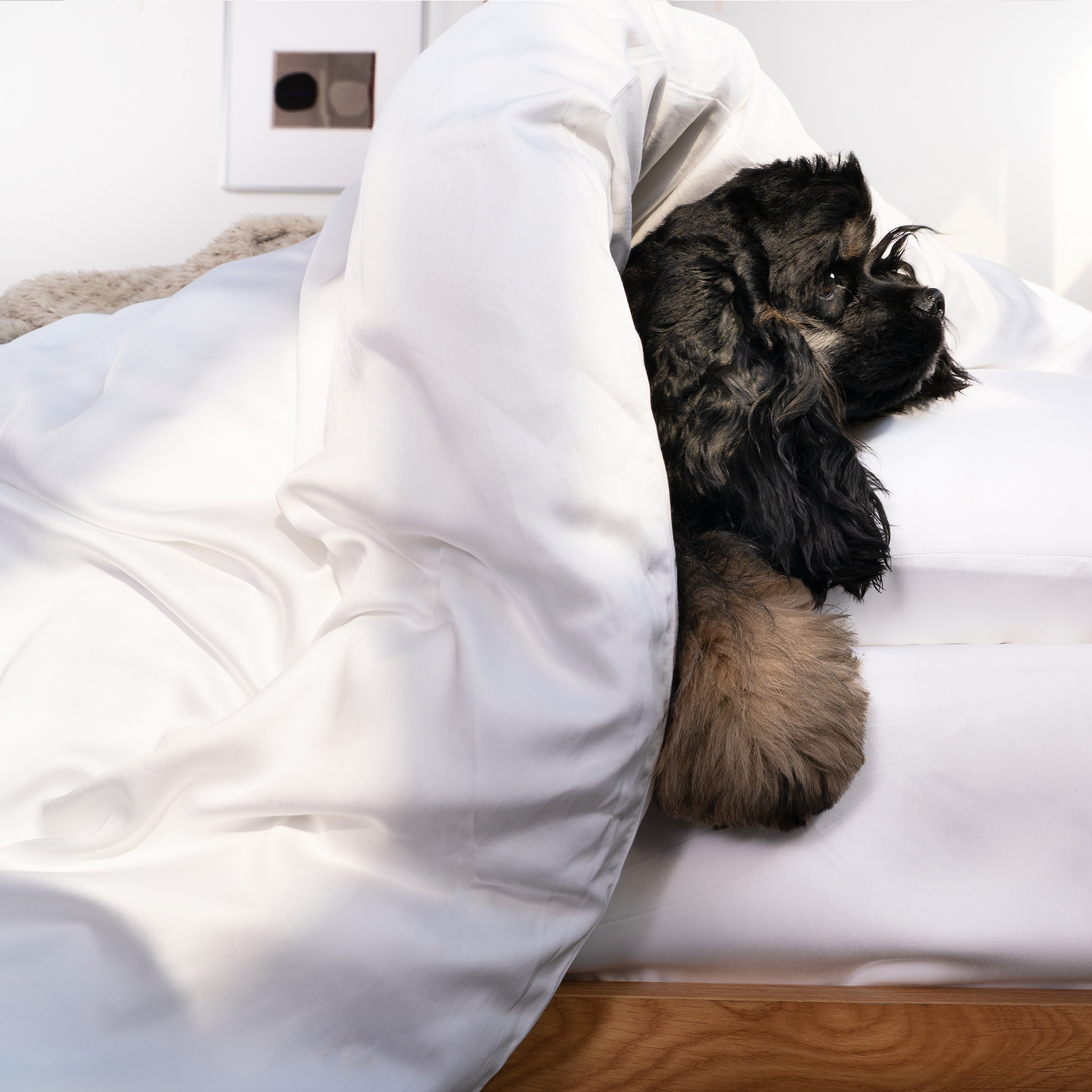 Pet Friendly Bamboo Viscose Quilt Cover - Cooling